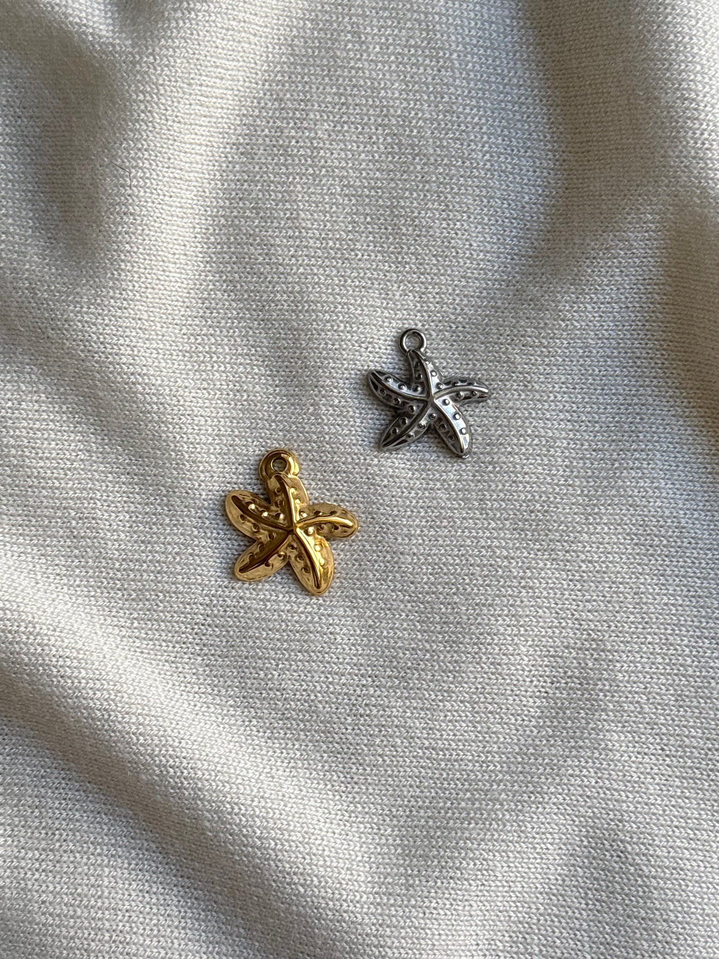 Étoile de mer 2
