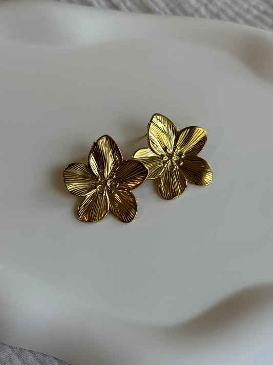 Boucles d'oreilles Baia