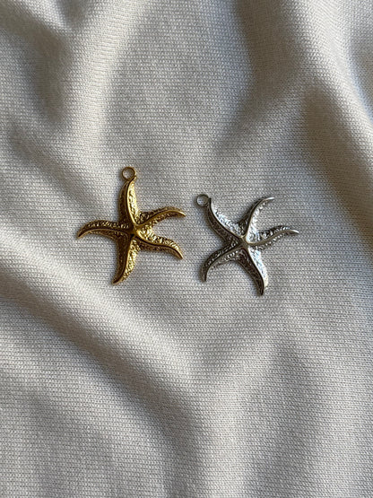 Grande étoile de mer