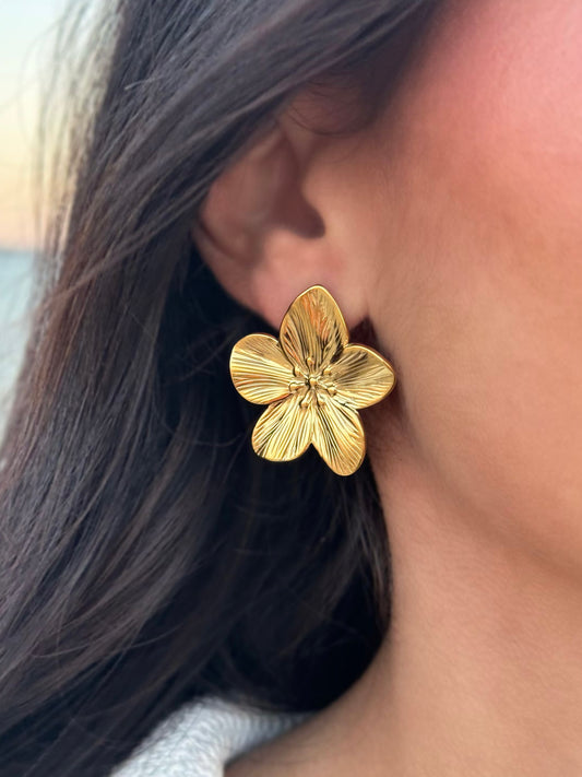 Boucles d'oreilles Baia