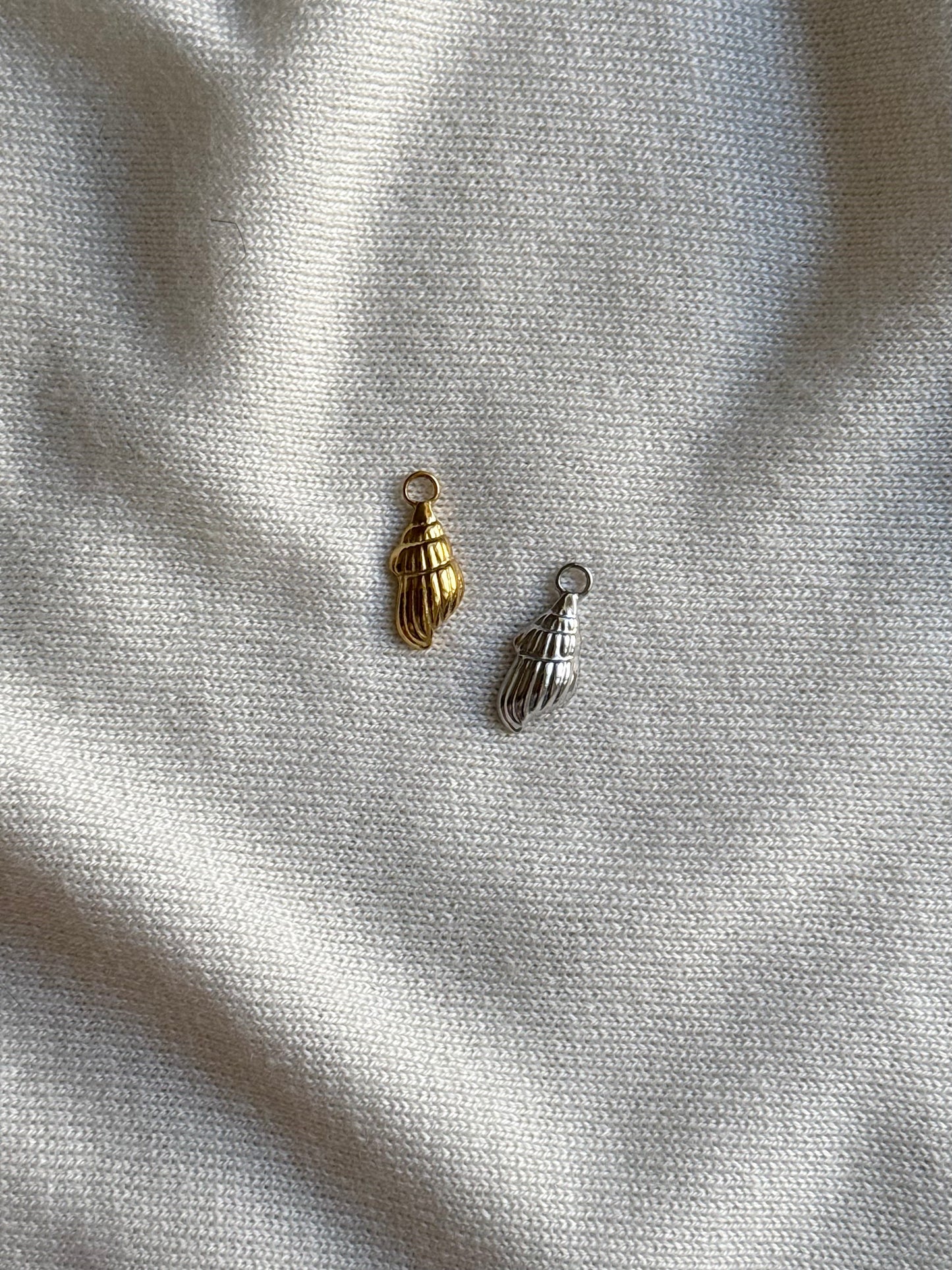 Coquillage 2