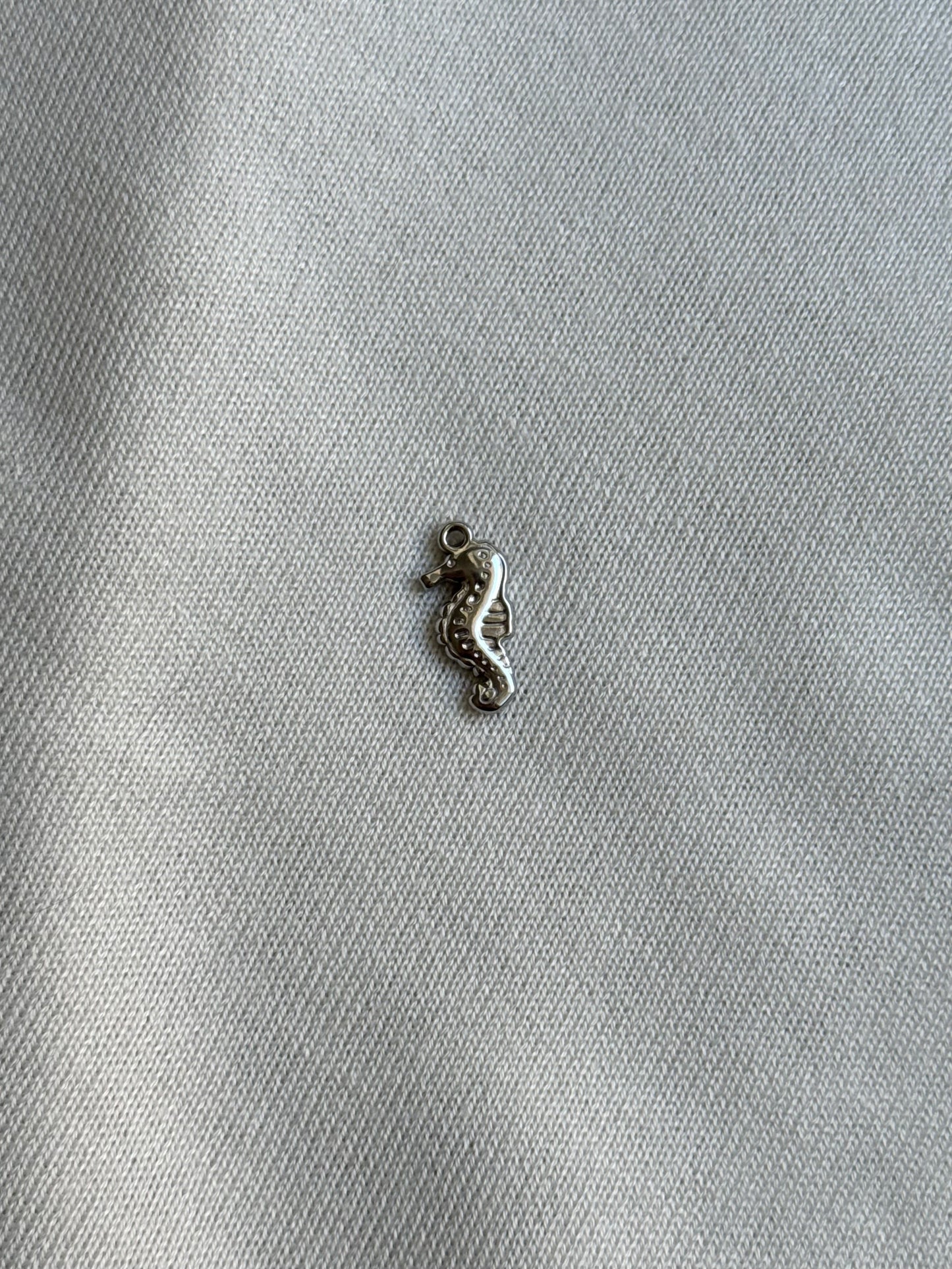 Hippocampe
