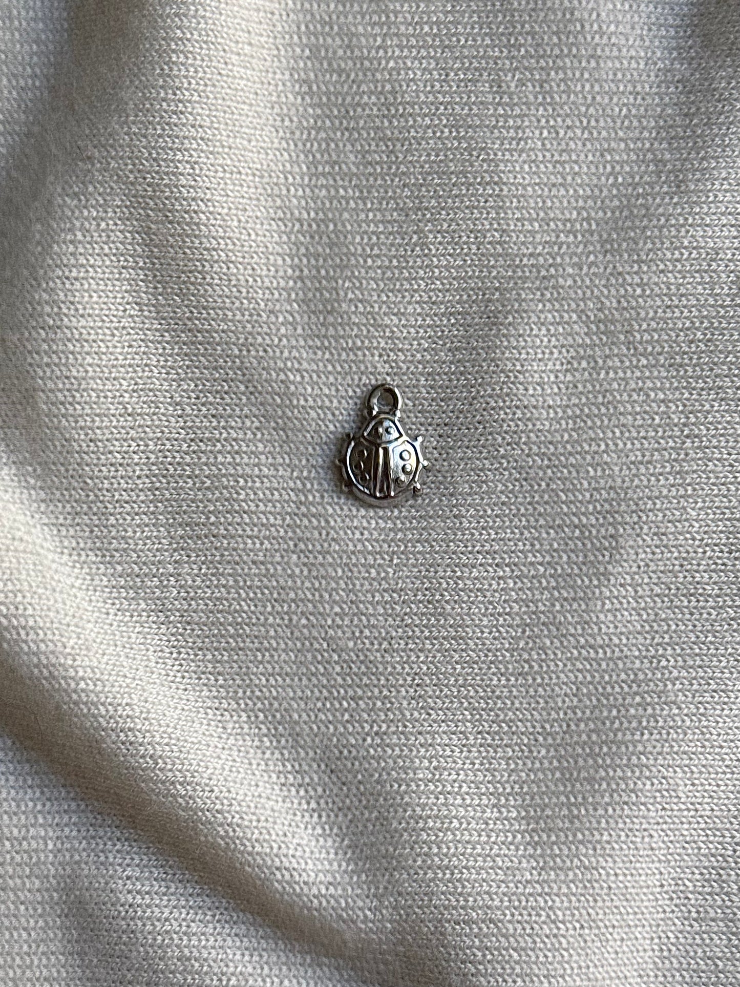 Coccinelle