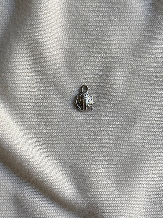 Coccinelle