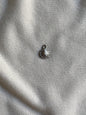Coccinelle