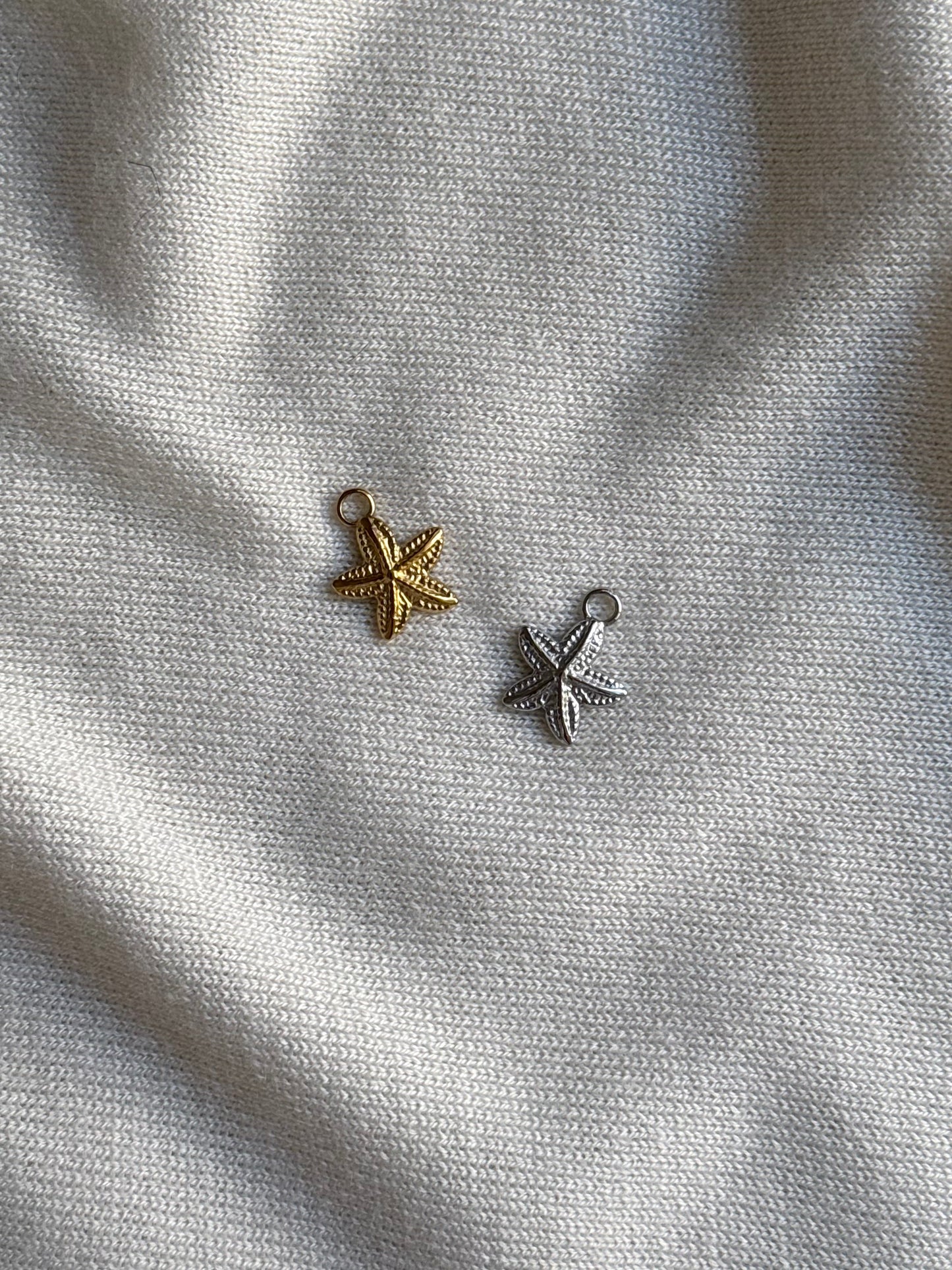 Petite étoile de mer